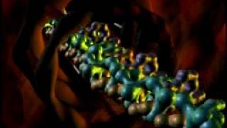 Protein Synthesis (English)
