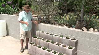 DIY - Building Strawberry Beds