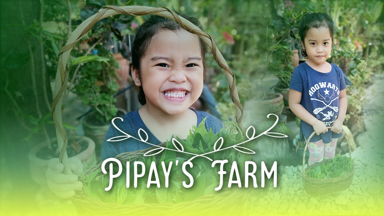 FARMING VEGETABLES, CHICKEN & DUCK | PIPAY'S MINI FARM SINCE COVID19