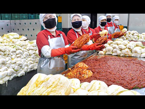 우린 모든 재료가 국산이야 역대급 위생 HACCP 김치 공장 대량 생산 현장 Amazing Korean Kimchi Factory Korean Street Food 