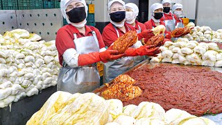 Great hygiene (HACCP)! Amazing Korean handmade kimchi making factory - Korean street food