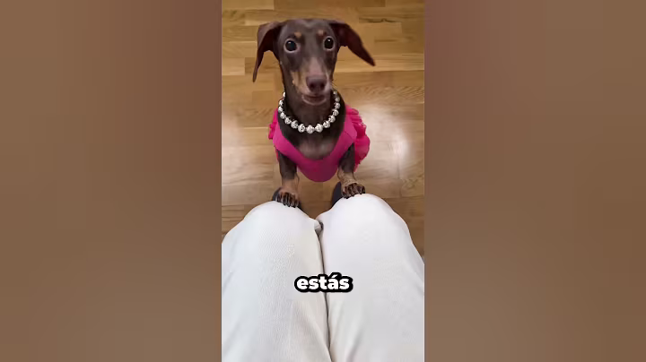 Cuando Manvi le pidió a Chintu que trajera la letra de la canción. #shortvideo