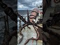 Giant Squid Transformation #shorts #viral #transformation #squid #giantsquid