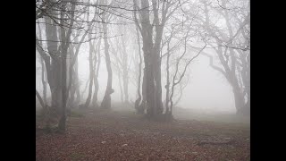 Evil Epping Forest: Hangman's Hill, Suicide Pond, Dick Turpin, Queen Boudicca&Wake arm’s roundabout