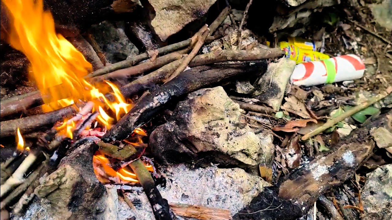 Ngủ lại trong rừng cả đêm mất ngủ vì giá rét.