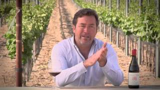 2011 Brewer-Clifton Pinot Noir, Mount Carmel Vineyard