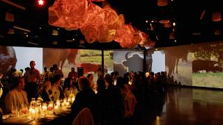 Reverie No. 1 Dinner With Lux