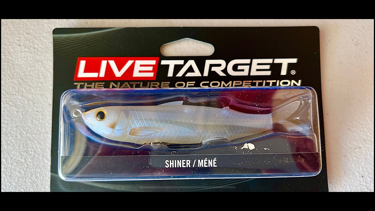 Live Target's Hollow Body Shiner-Has a Belly Pin For More Hooks
