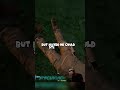 worth a try #ghostsoftabor #humanshield #vr