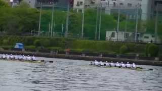 第８２回早慶レガッタＯＢエイト（レース中）
