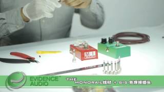 Evidence Audio The Monorail Sis Demo By Guitarcube