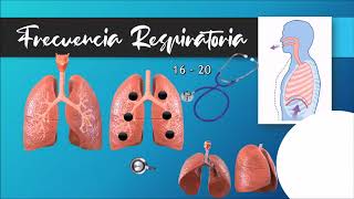 Ciencias de la Salud - Signos Vitales: Frecuencia Respiratoria - COBAES