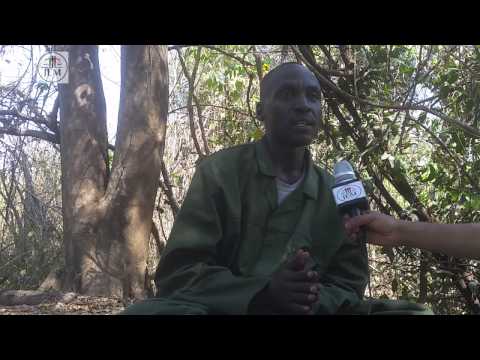 برنامج ميادين مع الأستاذ يس محمد آدم أمين الشباب والطلاب بحركة العدل والمساواة السودانية