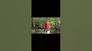 Shellcracker Fishing on the beds