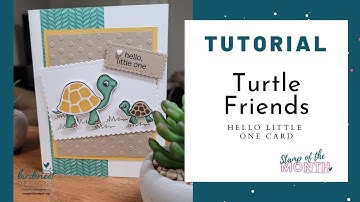 Turtle Friends 🐢... Hello Little One