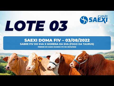 LOTE 3 - SAEXI DOMA FIV
