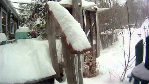 Nancy Today: Blizzard from hot water pot ASMR