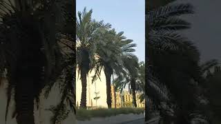 Riyadh Saudi Arabia