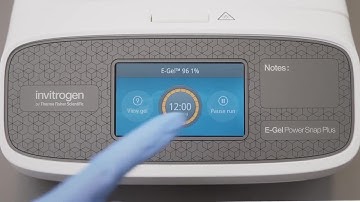 E-Gel Power Snap Plus How-To Series: Setup a Gel Run