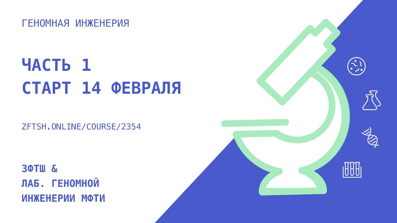 Зфтш. Зфтш онлайн.
