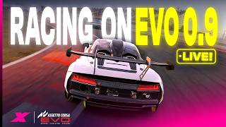 Playing Assetto Corsa EVO, because I want to.