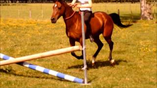 Tackless jumping upto 1m :)