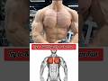 apper chest workout #youtubeshorts #gym #viral