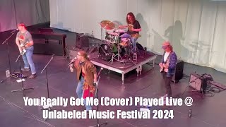 You Really Got Me (Cover) played LIVE @ Unlabeled Music Festival 2024 | Obsidian Star