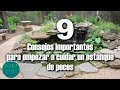 9 Consejos para empezar a cuidar un estanque de peces