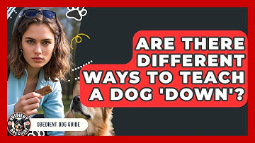 Are There Different Ways To Teach A Dog 