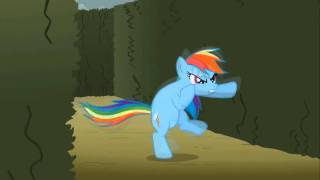 Captain Rainbow Dash Falcon