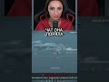 #bigrussianmum  #gameplay  #twitch  #mirkorabley