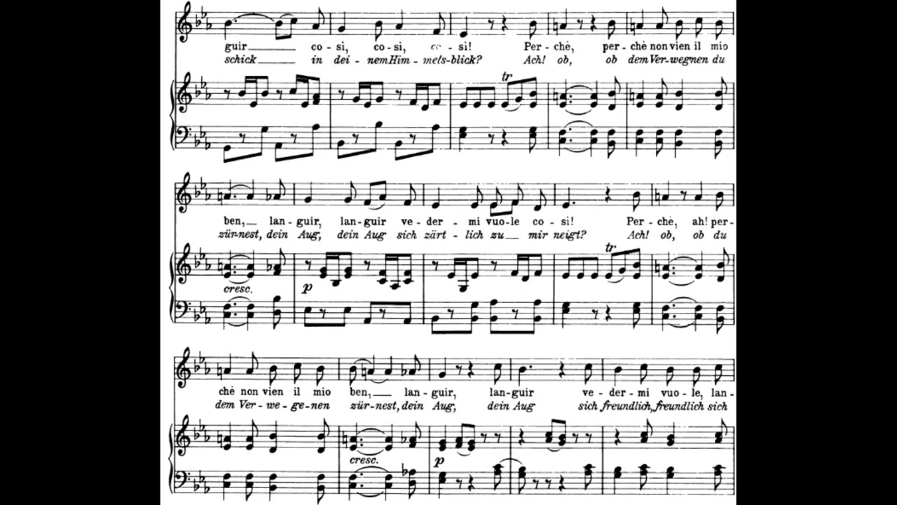 音楽 Taubenpost 歌曲雑感