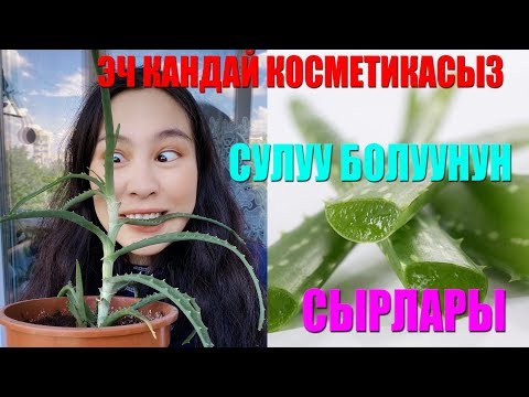 Video: Бырышка каршы эң мыкты алоэ маскалары