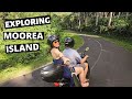 Exploring MOOREA Island by BOAT & SCOOTER // French Polynesia Vlog Day 3
