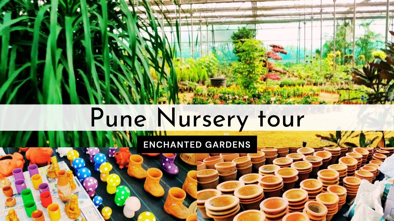 Pune's Best Nursery Tour - Enchanted Gardens | Indoor Plants