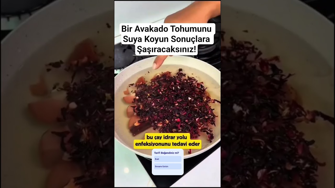 Bir Avakado Tohumunu Suya Koyun Sonuçlara Şaşıracaksınız! #bilgi #yemektarifleri #tarif #bilgiler