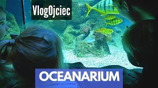 z DZIEĆMI w OCEANARIUM | daily VLOG 56