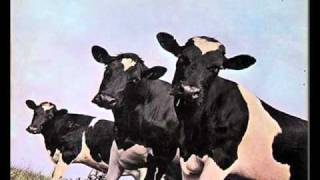 Video thumbnail of "Pink Floyd - Breast Milky"