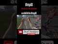 DayZ funny Clips | a child in DayZ #funny #dayz #dayzstandalone #child #ps5 #shorts #fyy #fyp