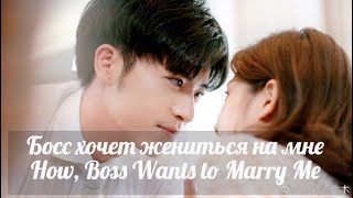 Босс хочет жениться на мне How, Boss Wants to Marry Me Клип к дораме