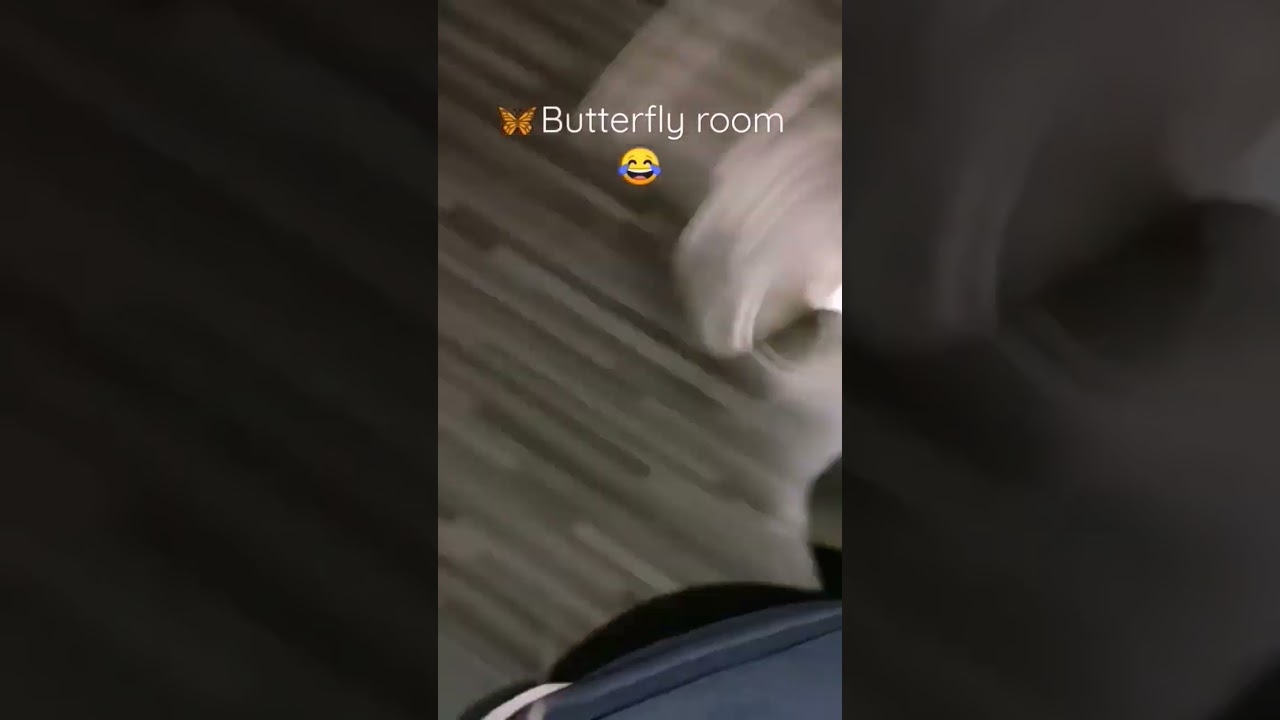 If you really love butterflies 