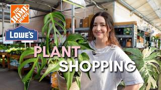 What's New! Big Box Plant Shopping 🌿 (I haven't been in 2 months!)