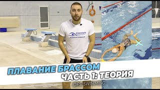 Плавание брассом (Часть 1: Теория) | Александр Романов | Академия плавания Freestyle