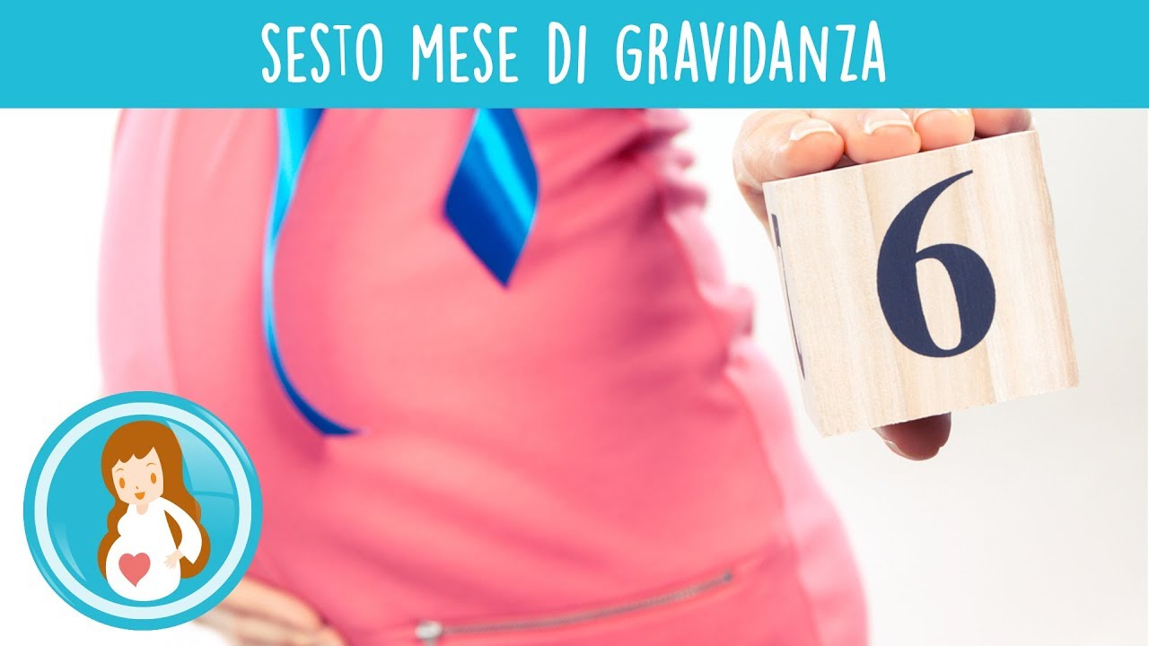 Sesto Mese Di Gravidanza Cosa Succede YouTube