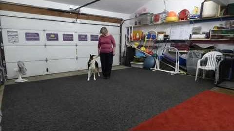 Rally Free Skills Test Intermediate Advanced