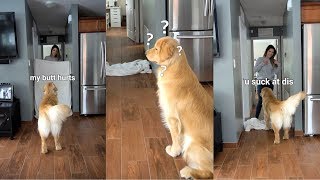 What the Fluff Challenge With My Golden Retriever