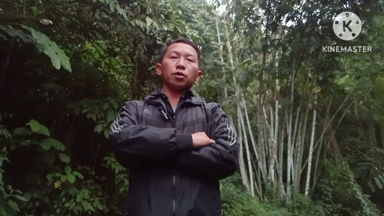 txwv xaiv taij kom nqai 4,5, 6, 7,tus has, paaj kos yaaj