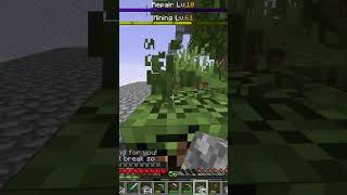 Penguin GG One Chunk SkyBlock 4 15 26