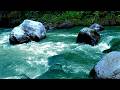 Calming Blue River Flow Through Green Forest 🍃 Nature ASMR for Relaxation